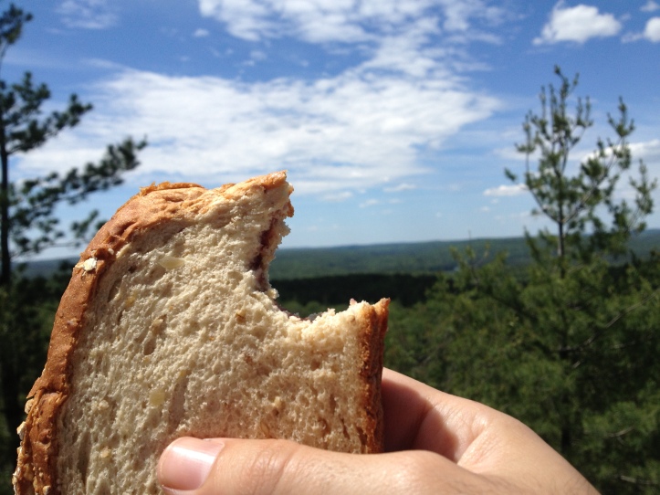 This is what I call lunch with a view at Algonquin National Park.